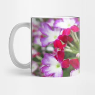 blooming pink flowers, garden, blooms, petals, Mug